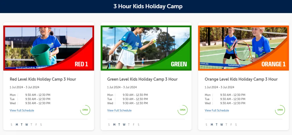Holiday clinic flyer